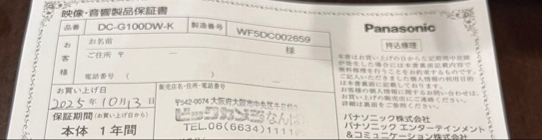 【保証書付】 LUMIX DC-G100DW ダブルズームレンズキット