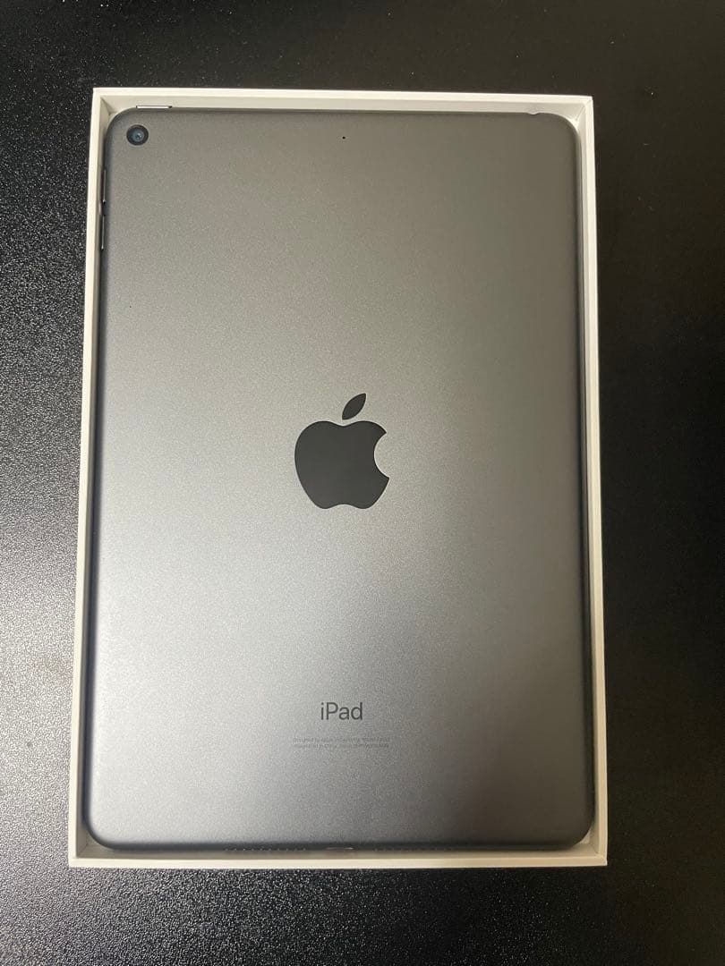 Apple iPad mini 256GB Wi-Fi 超美品