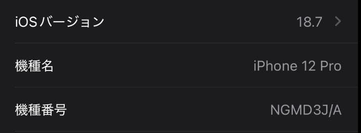 Apple iPhone 12 Pro　256GB