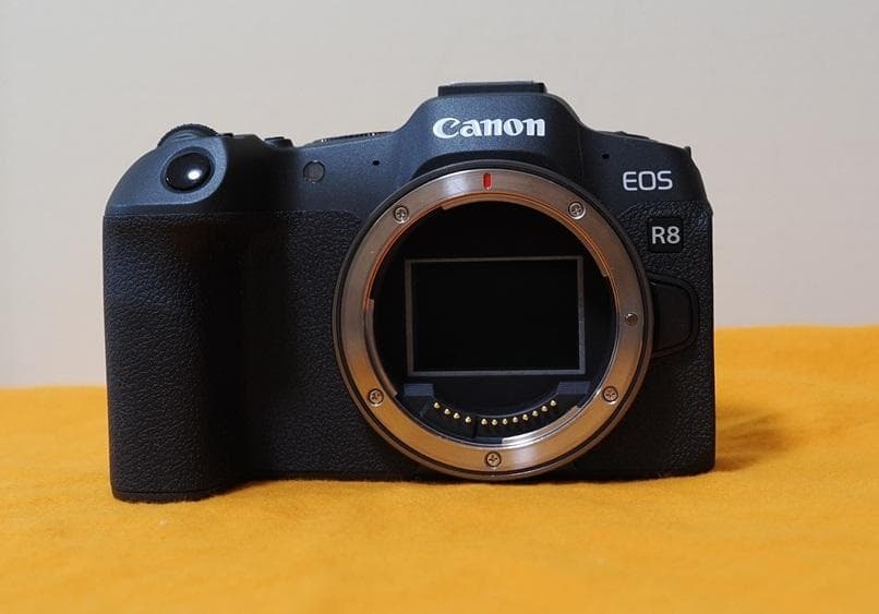 【美品】Canon EOS R8