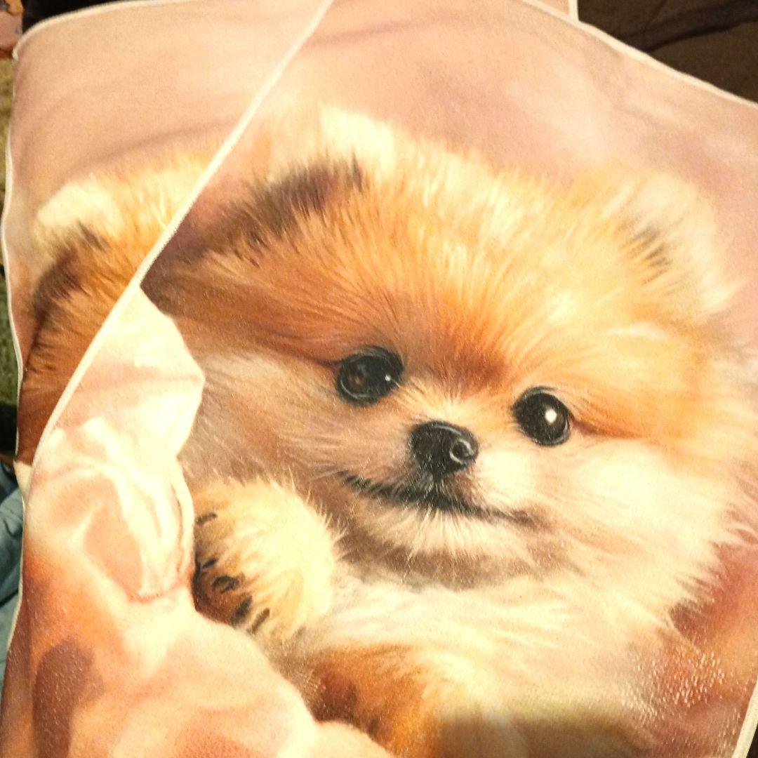 ☆キミちゃま☆専用ページ✨ʕฅ•ᴥ•ฅʔ*:❀❤⋆*¨*•.¸¸♬