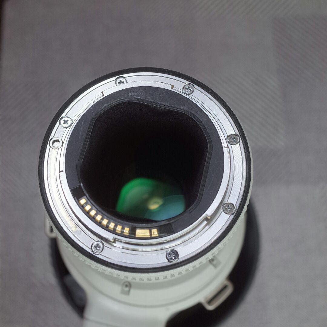 キャノン　EF500mmf4 L IS Ⅱ USM +1.4Ⅲ +2Ⅲ EXT