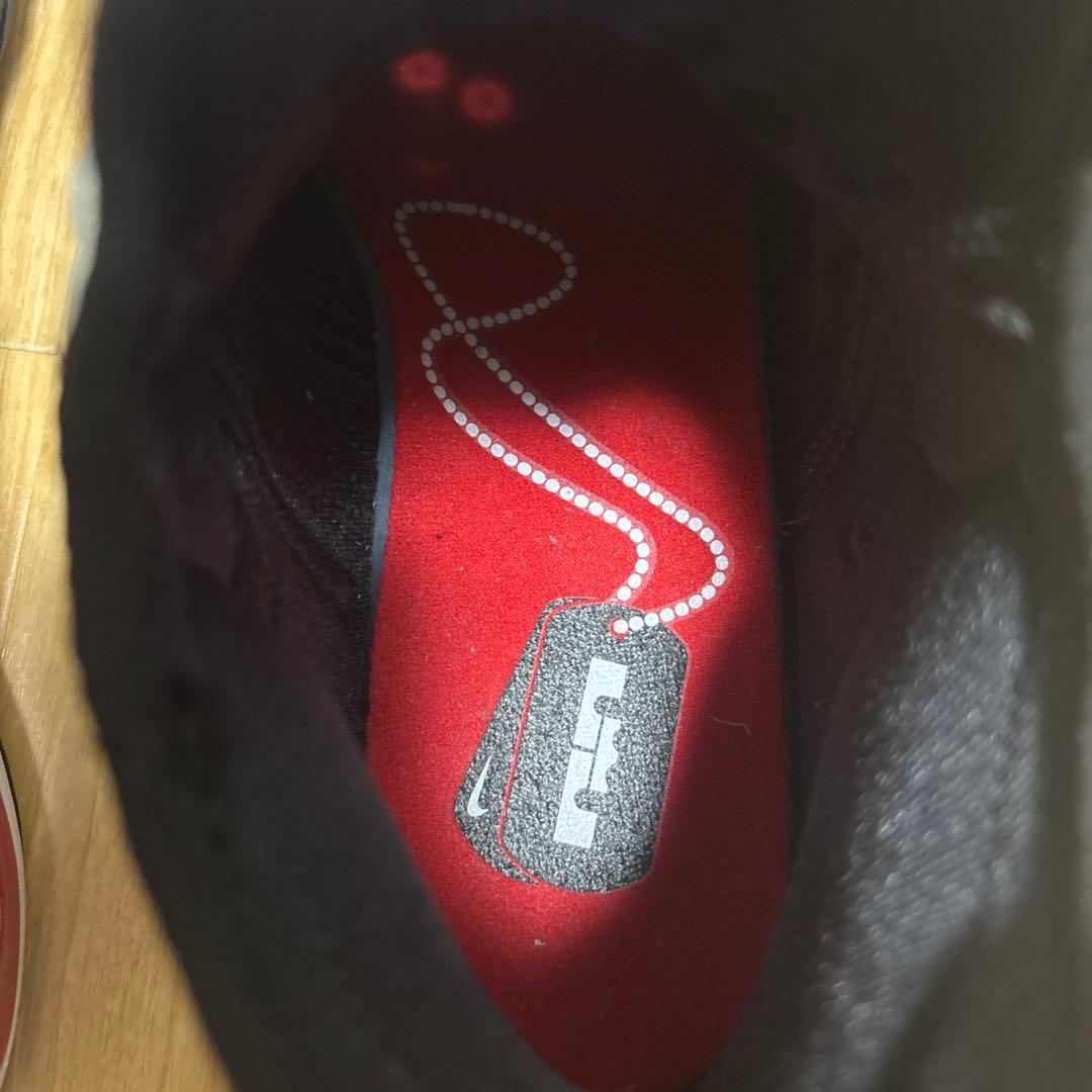 シューズ(男性用) Nike LeBron soldier 14