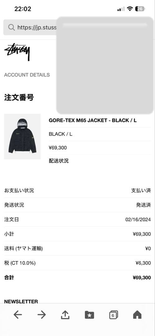 stussy GORE-TEX ジャケット