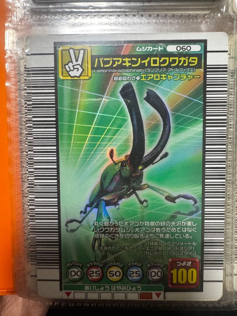 ムシキング　カード　まとめ