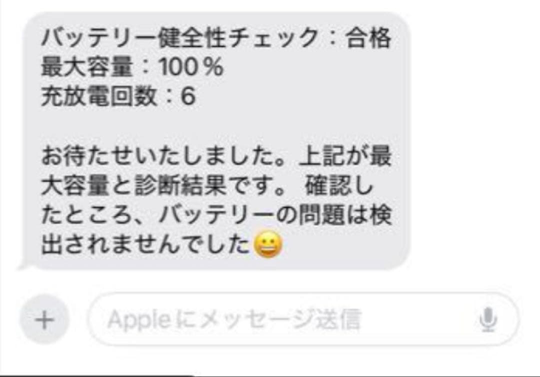 iPad本体 iPad mini 6 Wi-Fi + cellular 64gb