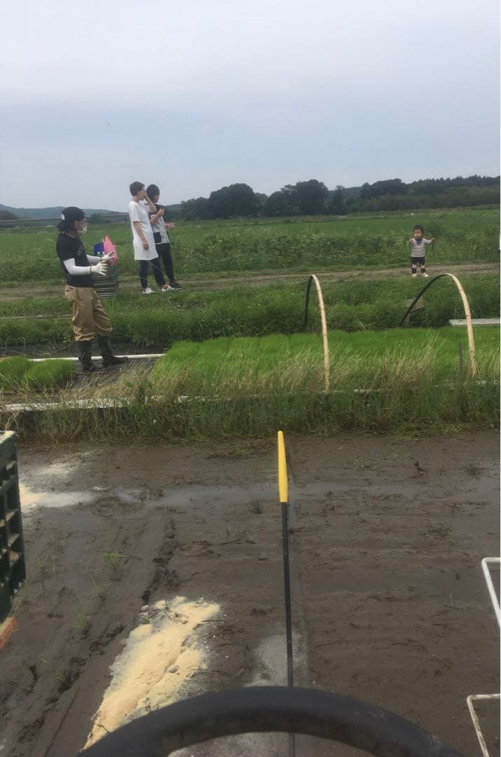 【れんげ米　玄米10.0kg コシヒカリ又はあさひの夢】　栽培期間中農薬不使用