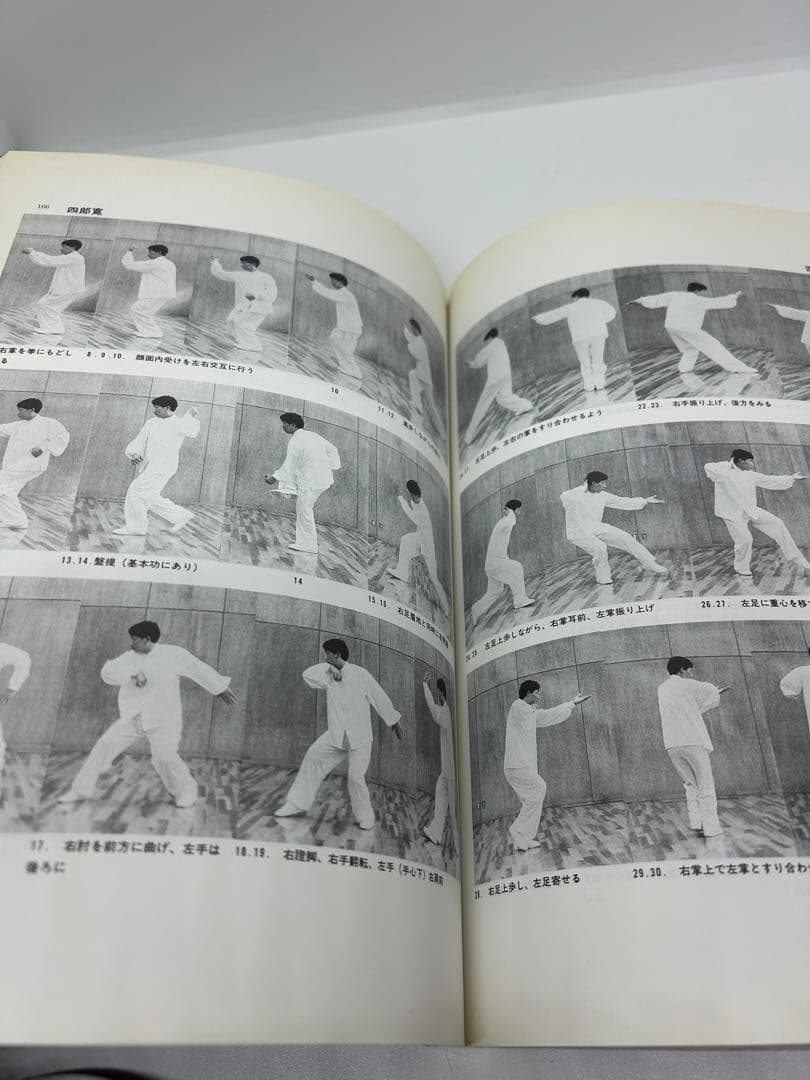 呉氏開門八極拳　増補版