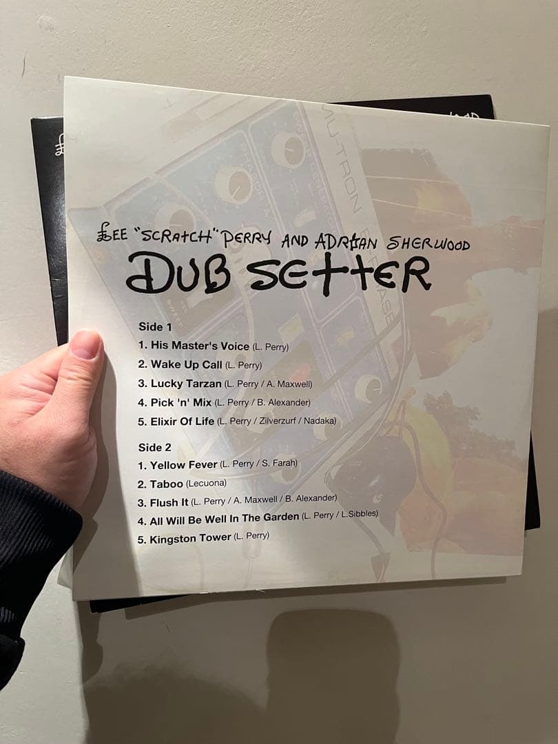 Lee Perry Dub Setter LPレコード　MURO