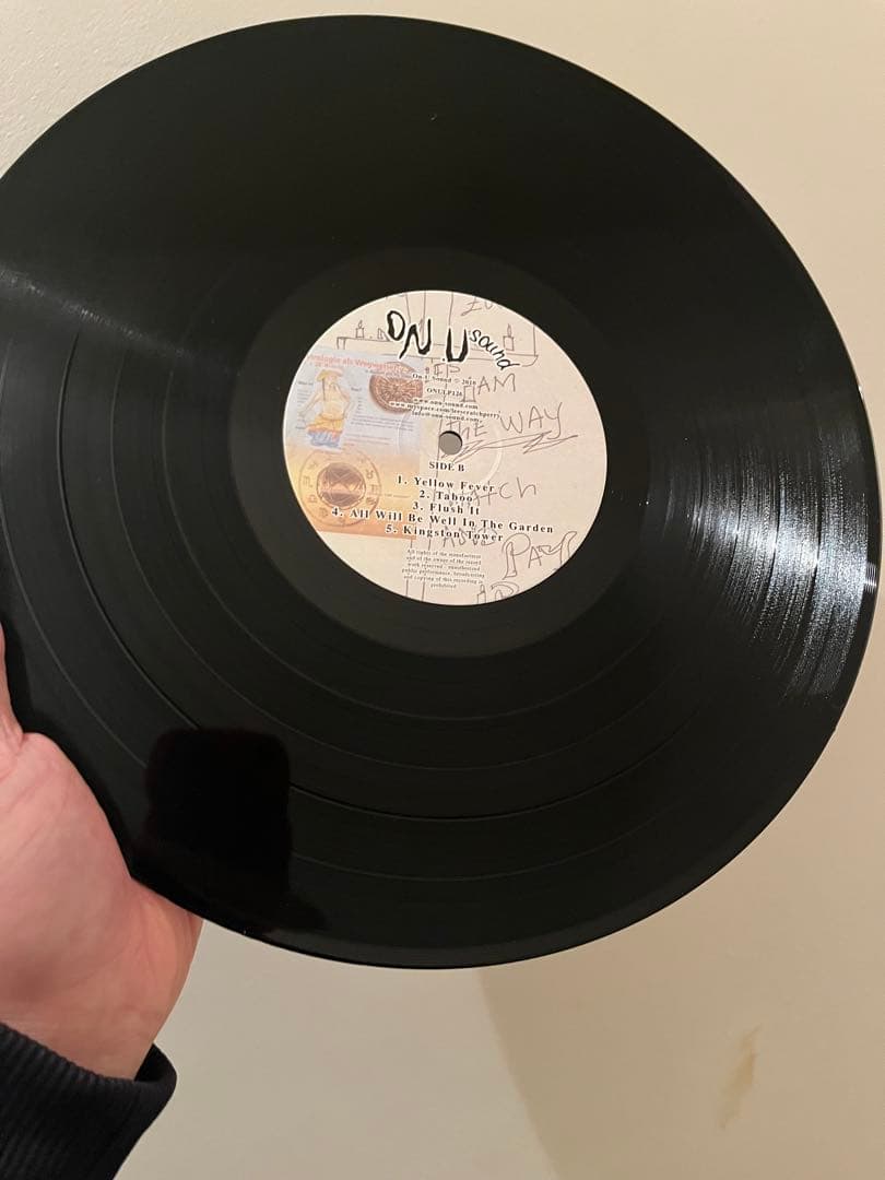 Lee Perry Dub Setter LPレコード　MURO