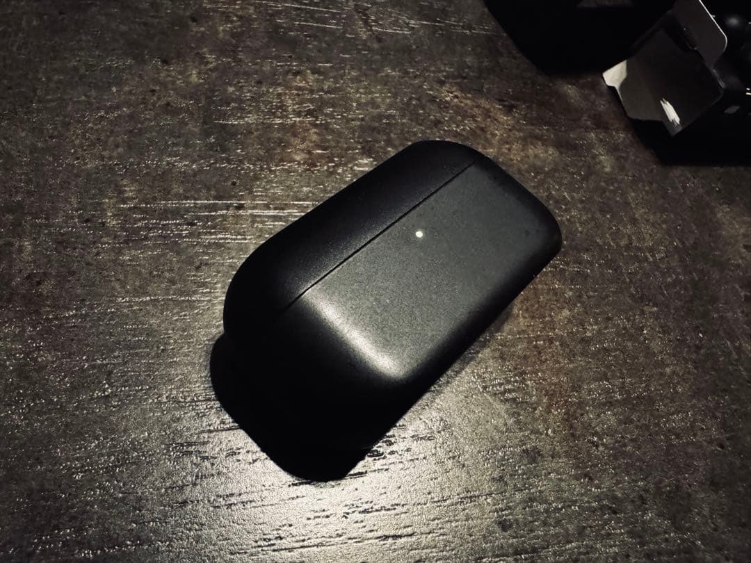 Technics EAH-AZ100 ワイヤレスイヤホン 左(L)+充電ケース