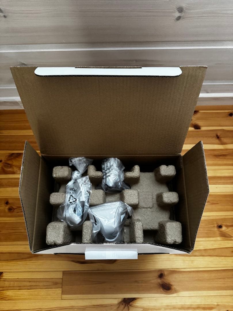 《新品》リンサークリーナー IRIS OHYAMA RNS-P10-W