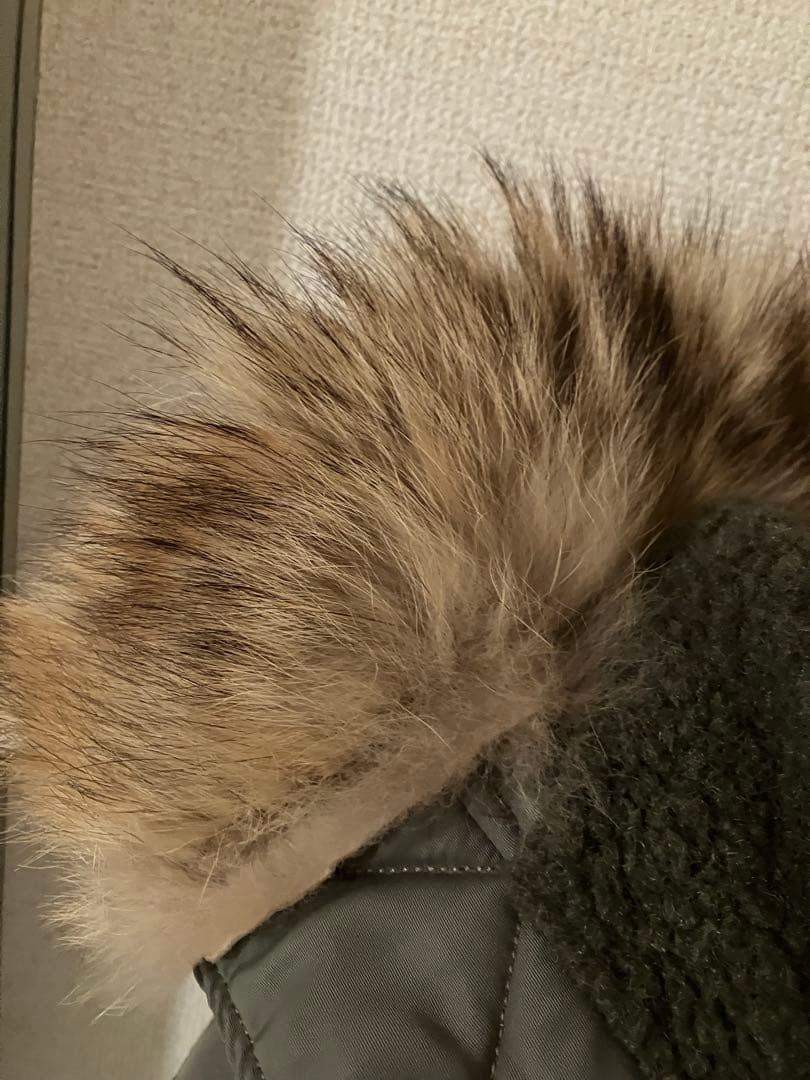 バズリクソン　N3-B