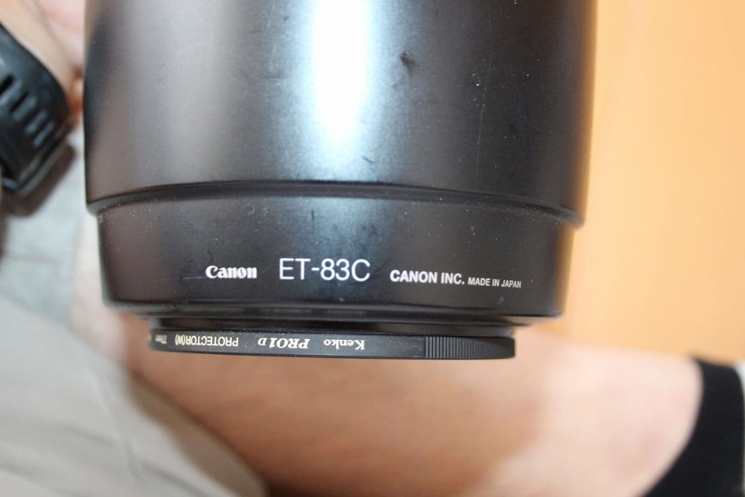 Canon EF100-400mm F4.5-5.6L IS　USM