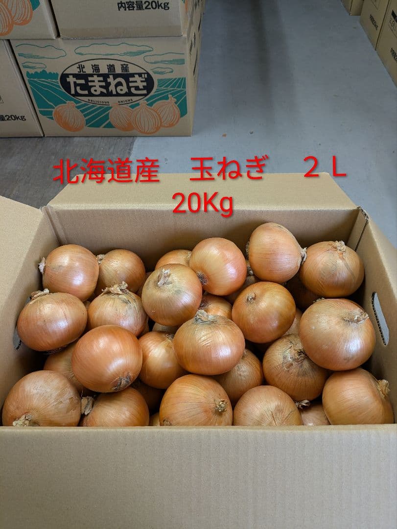 北海道産　玉ねぎ　２L（9cm以上） 20Kg
