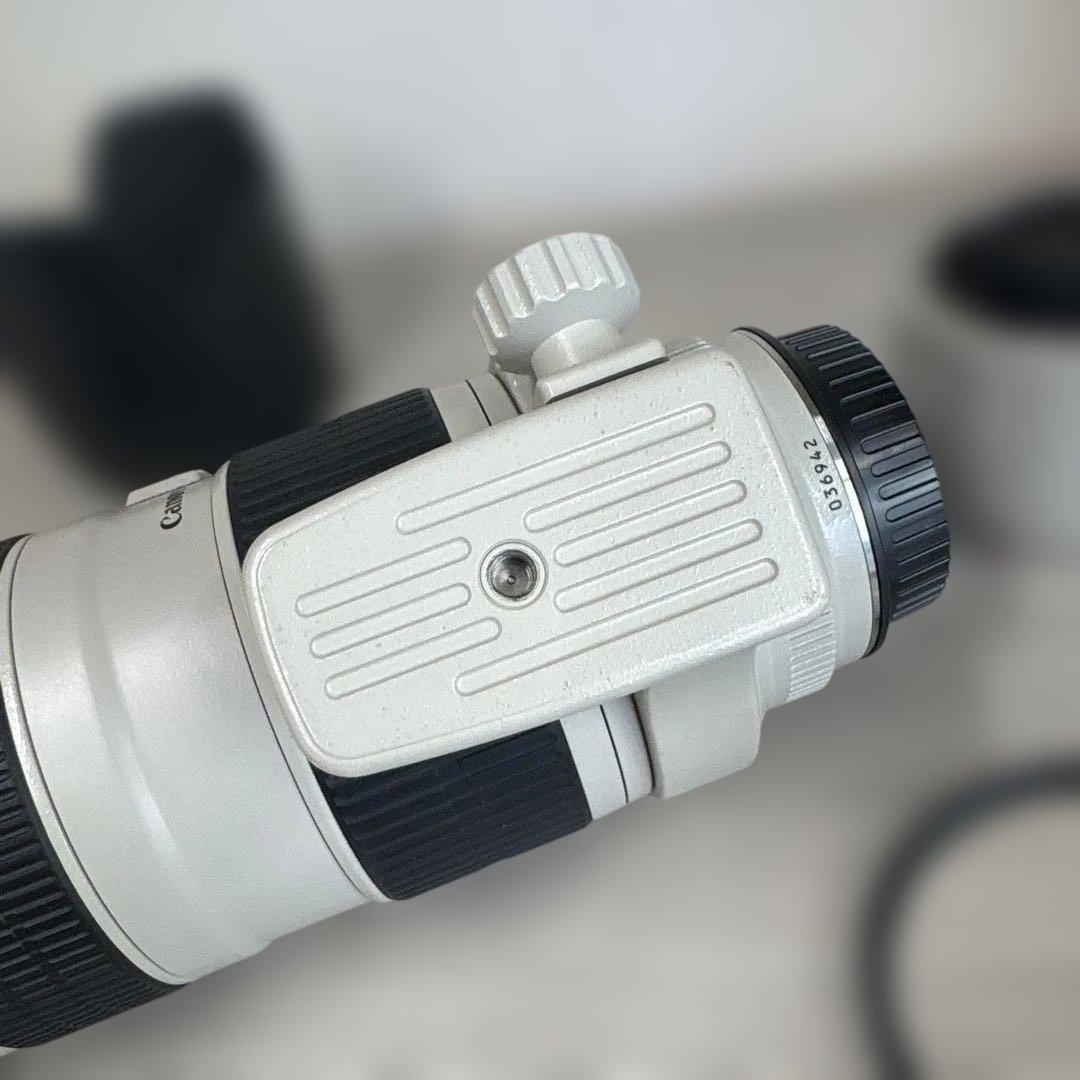 【美品】Canon EF 70-200mm F2.8 L USM おまけ付