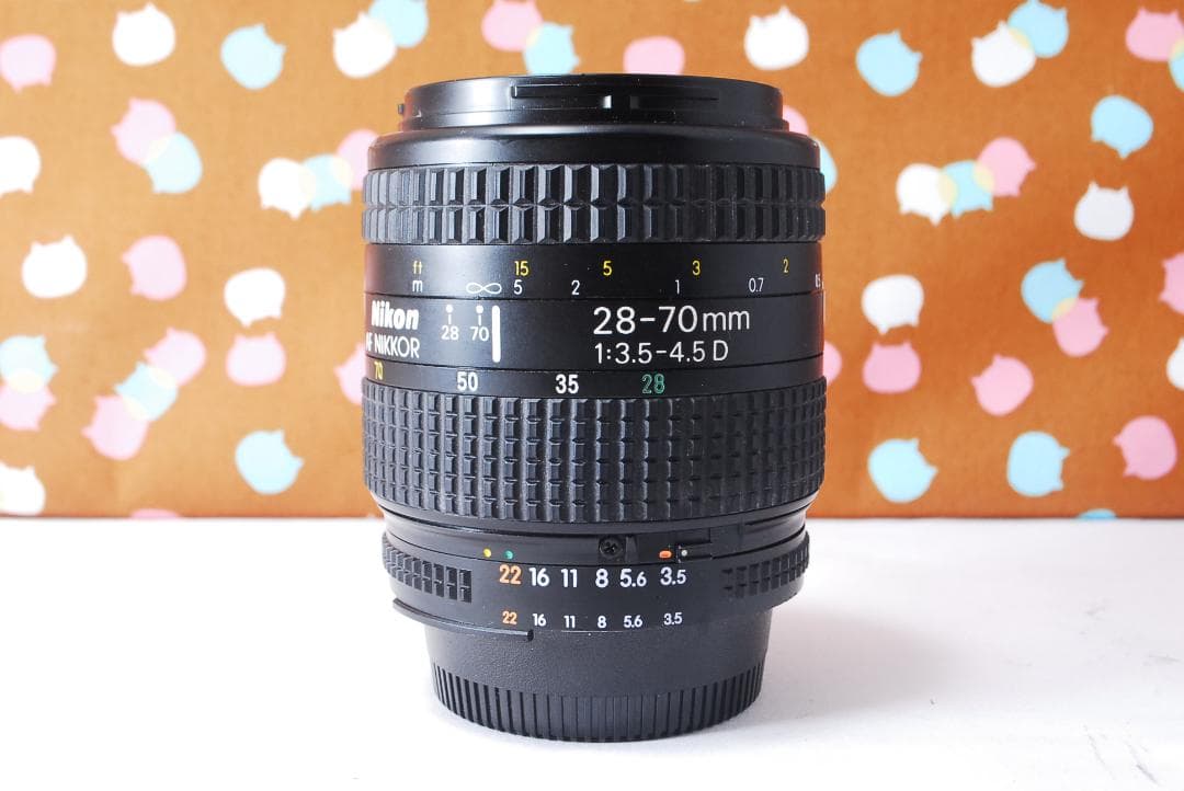 ✨お安くデビュー✨ショット数1071回✨Nikon D70 レンズセット