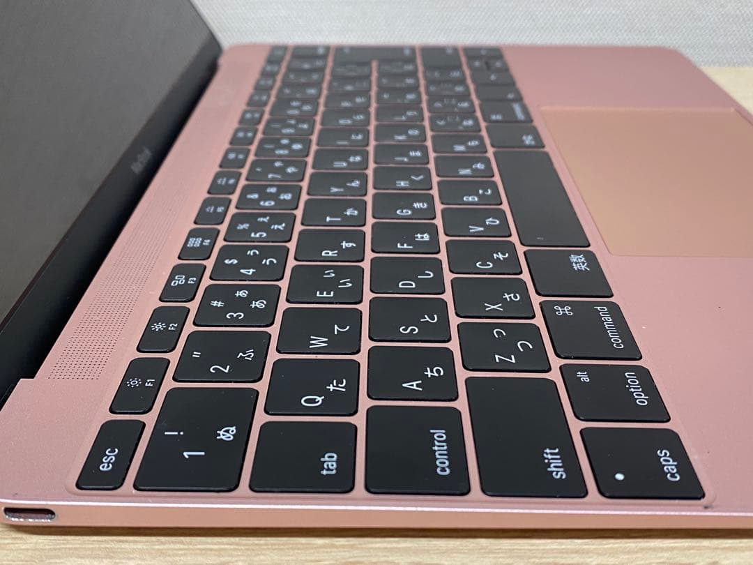 MacBook本体 MacBook Retina A1534 Early2016 m5/8/512