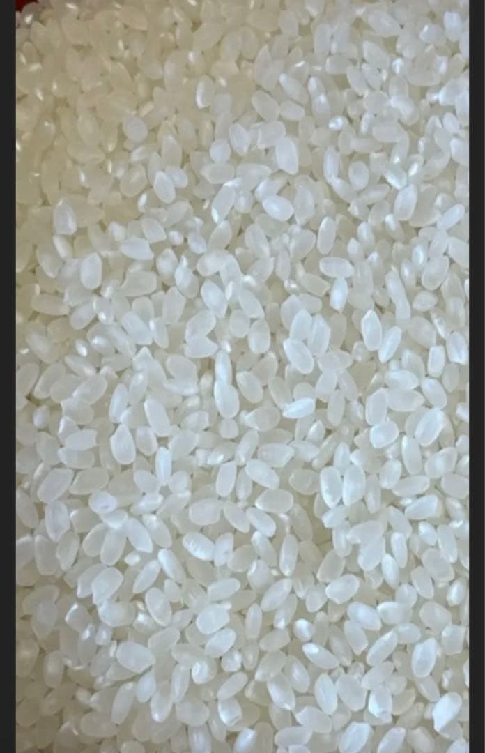 令和7年　新米　大分県産なつほのか　白米23㎏キロ