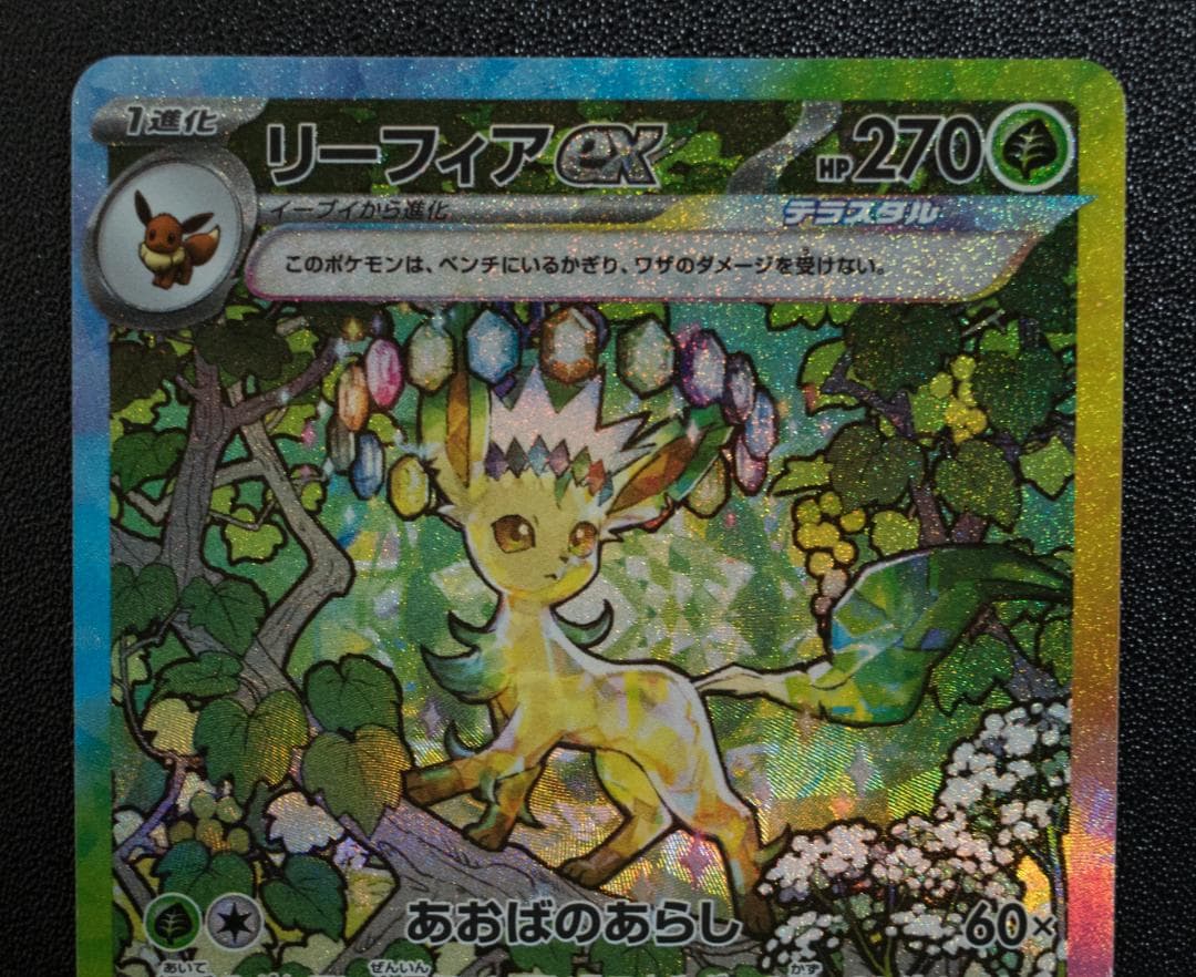 テラスタルフェス草セット