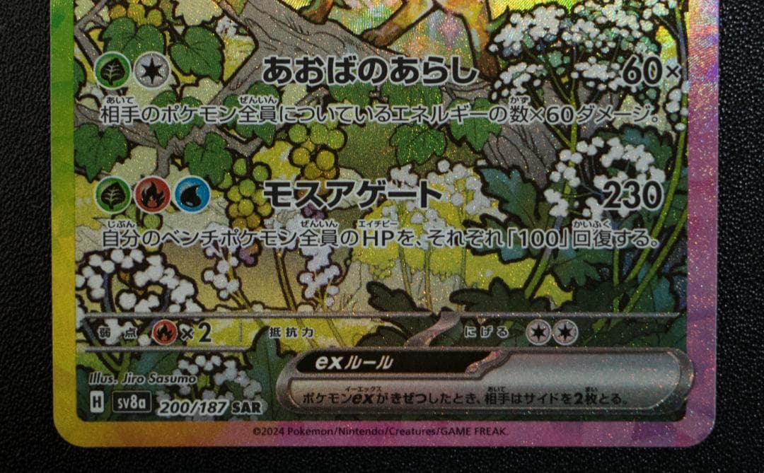 テラスタルフェス草セット