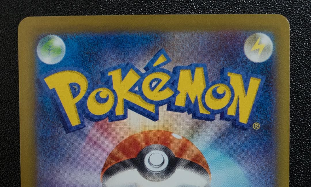 テラスタルフェス草セット