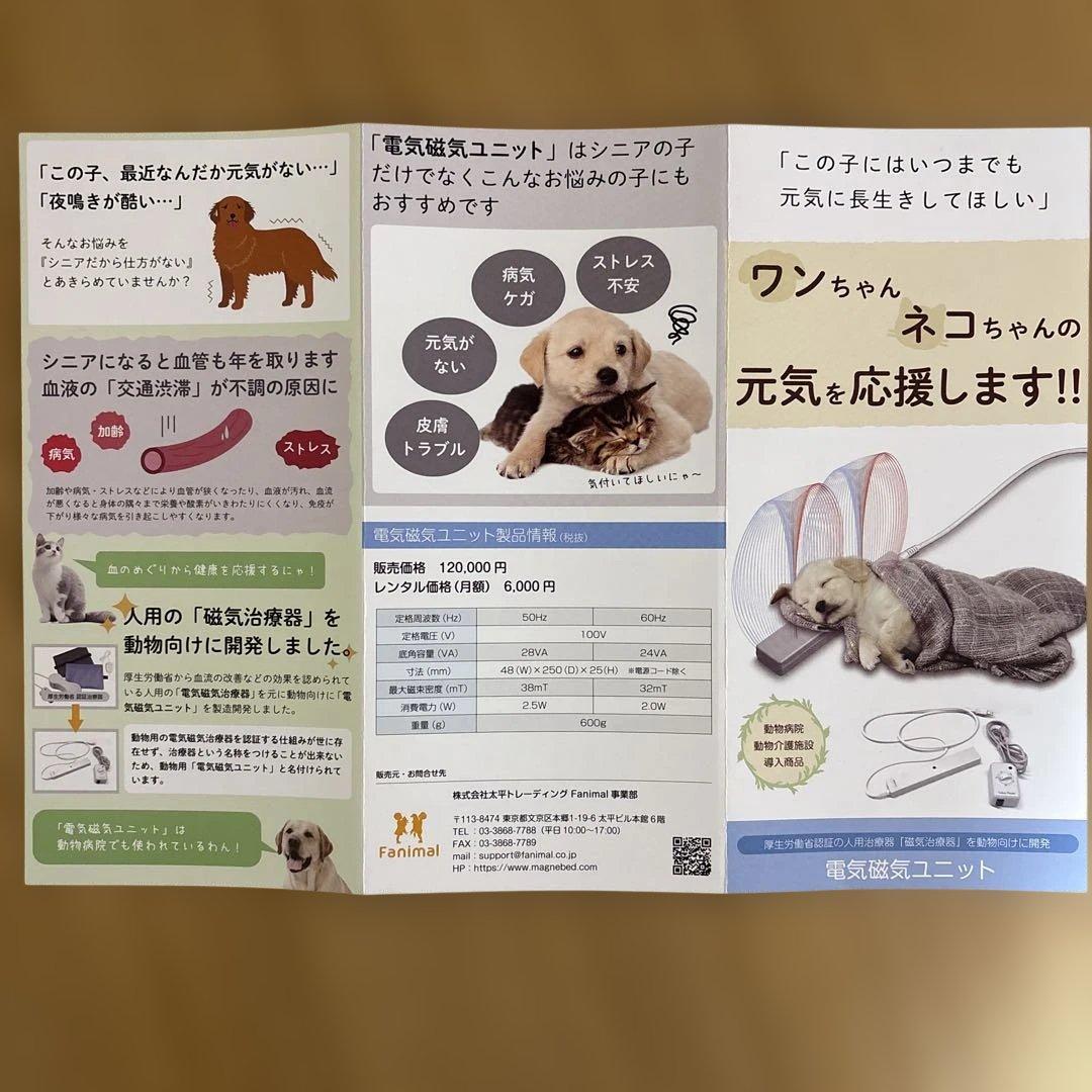 アンベルソ電気磁気ユニット