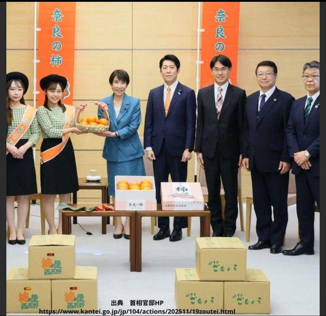 最終 お値打ち価格♪江戸柿（渋柿）約20kg 奈良県西吉野産干し柿用/吊るし柿用