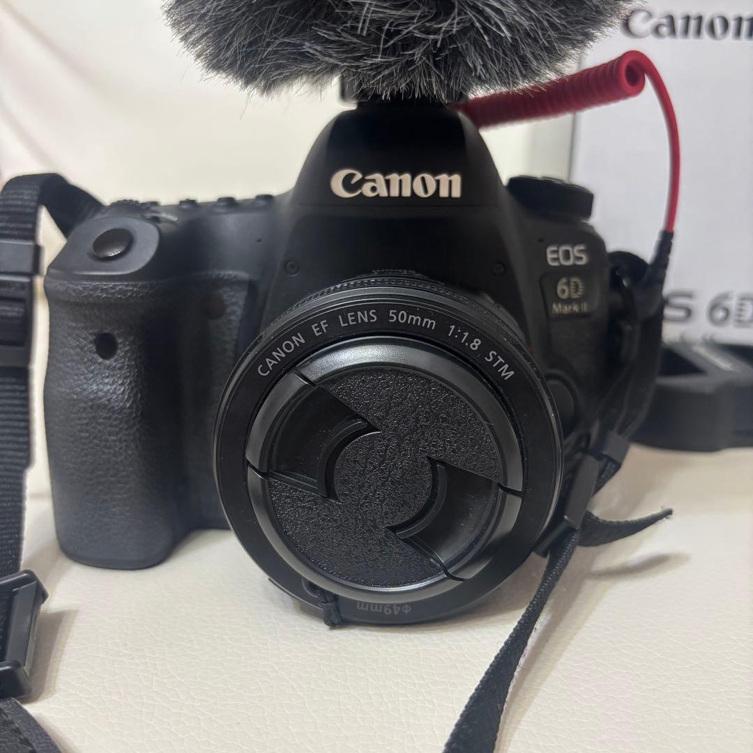 【マイク付き】CANON EOS 6D Mark IIボディ＆レンズ