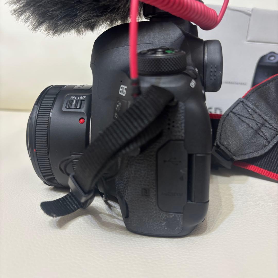【マイク付き】CANON EOS 6D Mark IIボディ＆レンズ