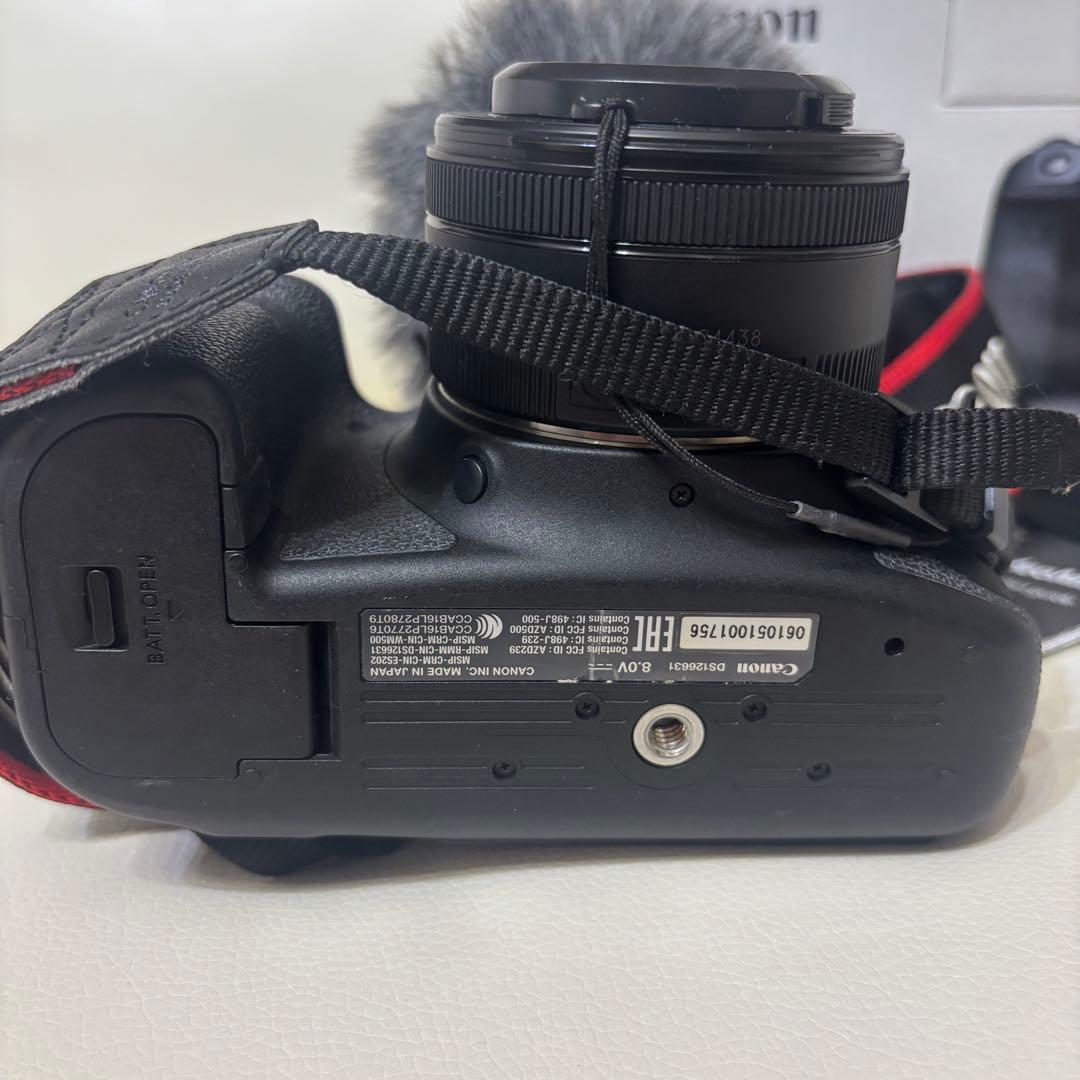 【マイク付き】CANON EOS 6D Mark IIボディ＆レンズ