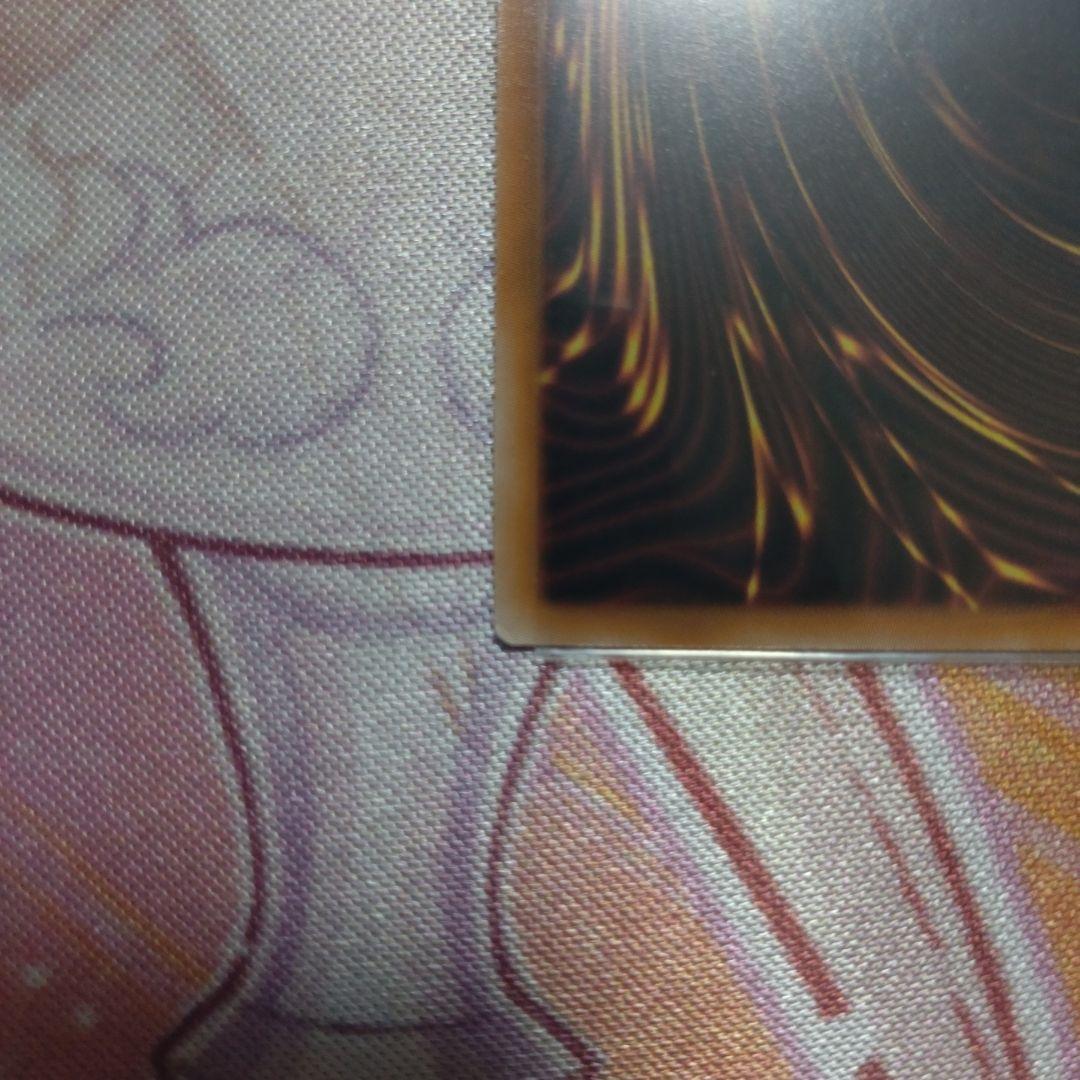 横座標一致　ドラゴンメイド　パルラ　ティルル　お心づくし　25thシークレット