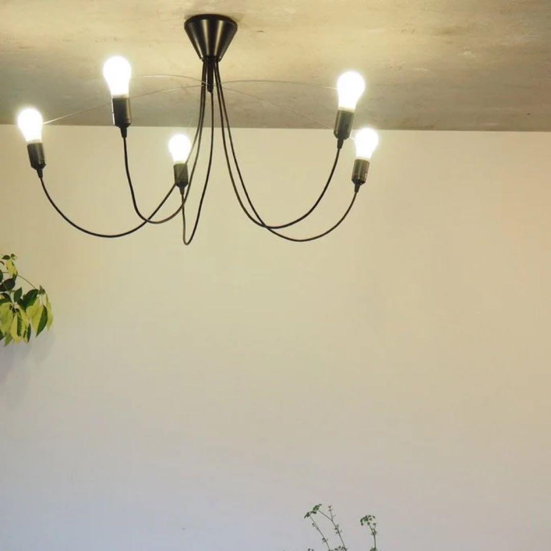 Heavy Guy Chandelier デザイナーズ シャンデリア TRICO