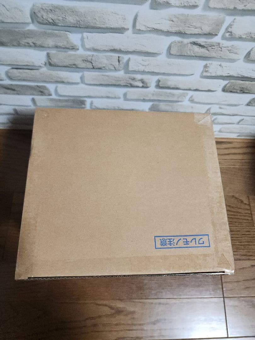 ワンピース “Evolutionary History” 「ステューシー」