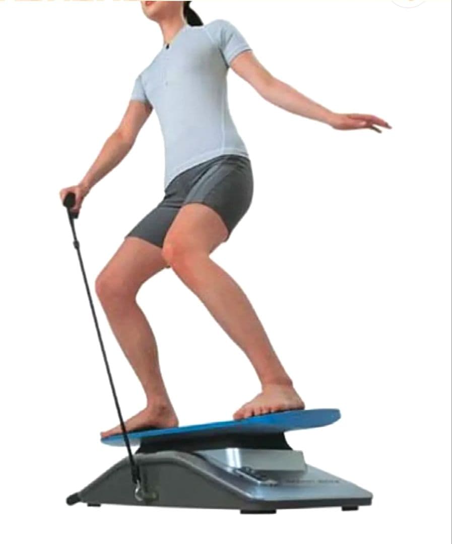 コンドこそダイエット！スライヴ 家庭用フィットネス機器 サーフボーイ FD003