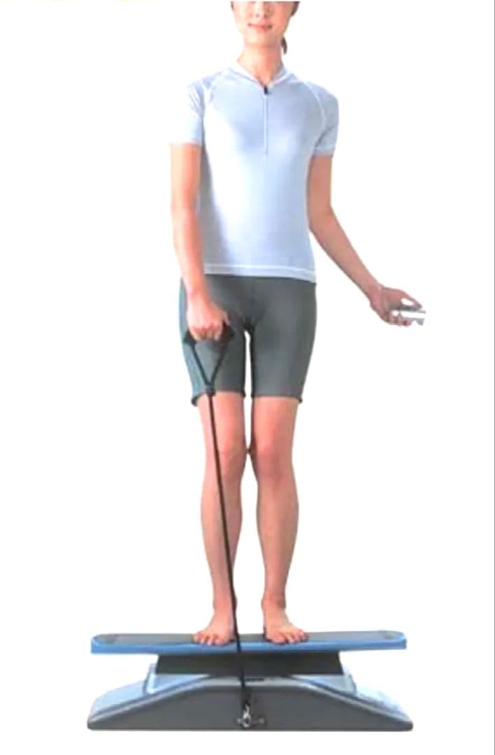 コンドこそダイエット！スライヴ 家庭用フィットネス機器 サーフボーイ FD003