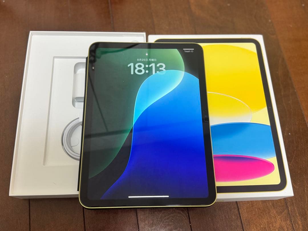 Apple iPad (A16) 本体 充電器・ケーブル付き