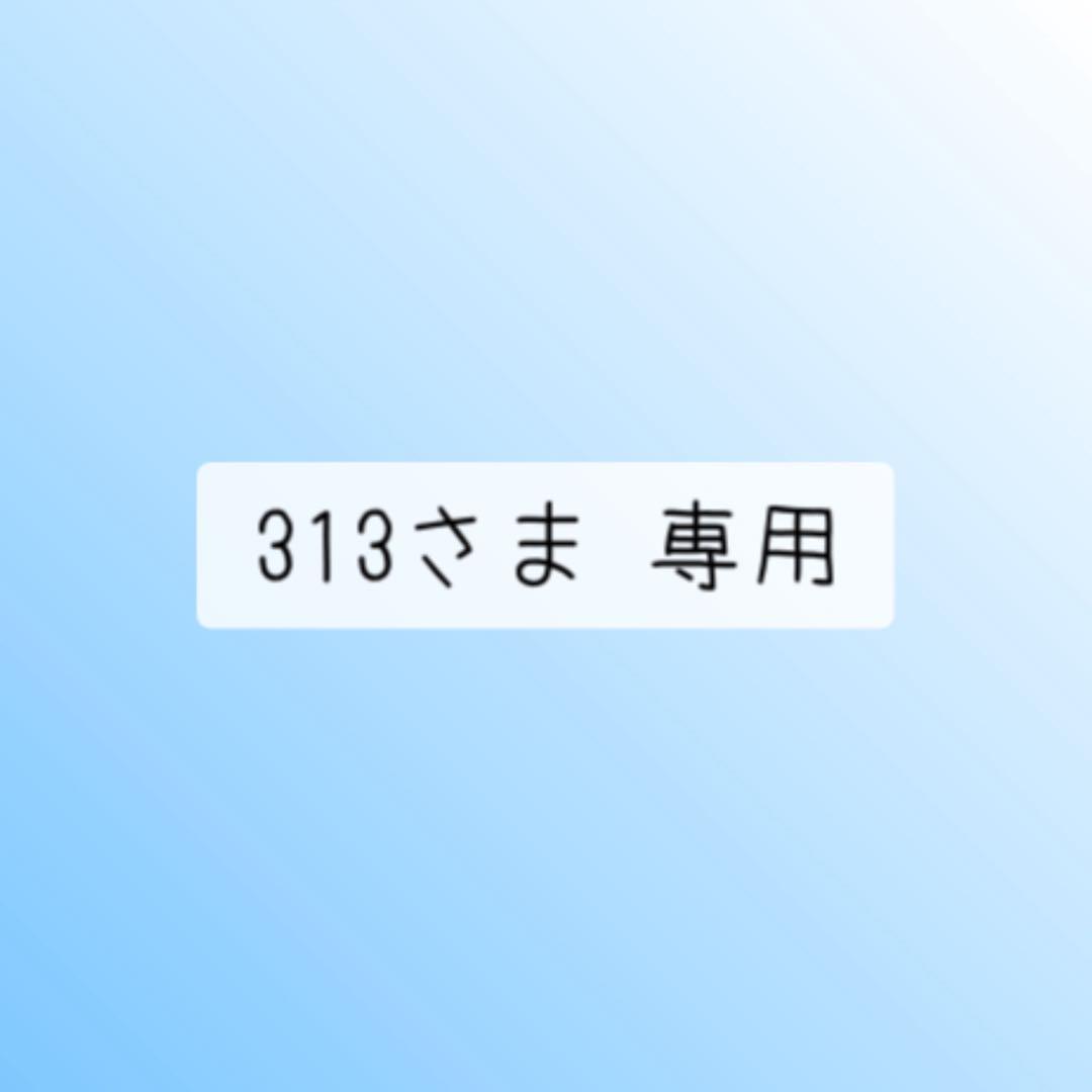 313さま 専用