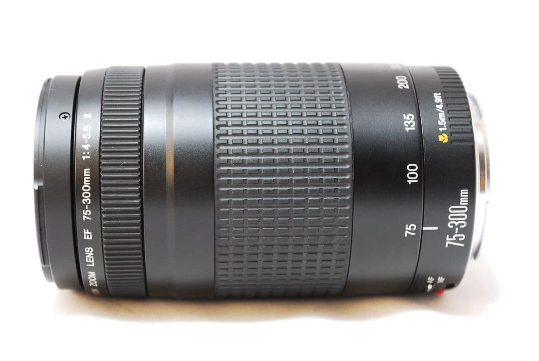 超美品✨超望遠レンズ✨Canon EF 75-300mm F4-5.6 Ⅱ