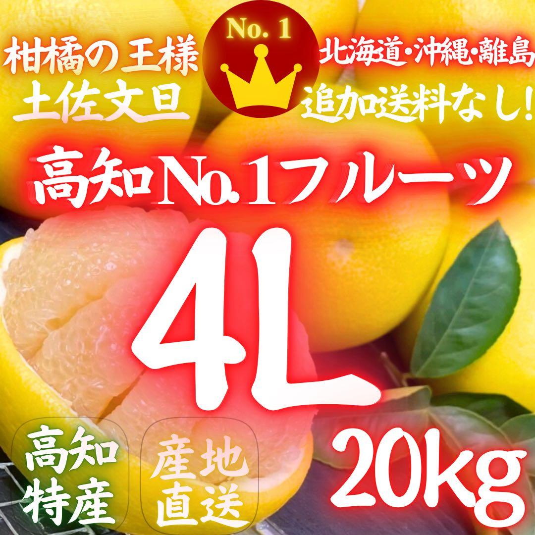 ⑧高知特産 露地栽培 土佐文旦 4L限定 文旦 約20kg 大玉 サイズ