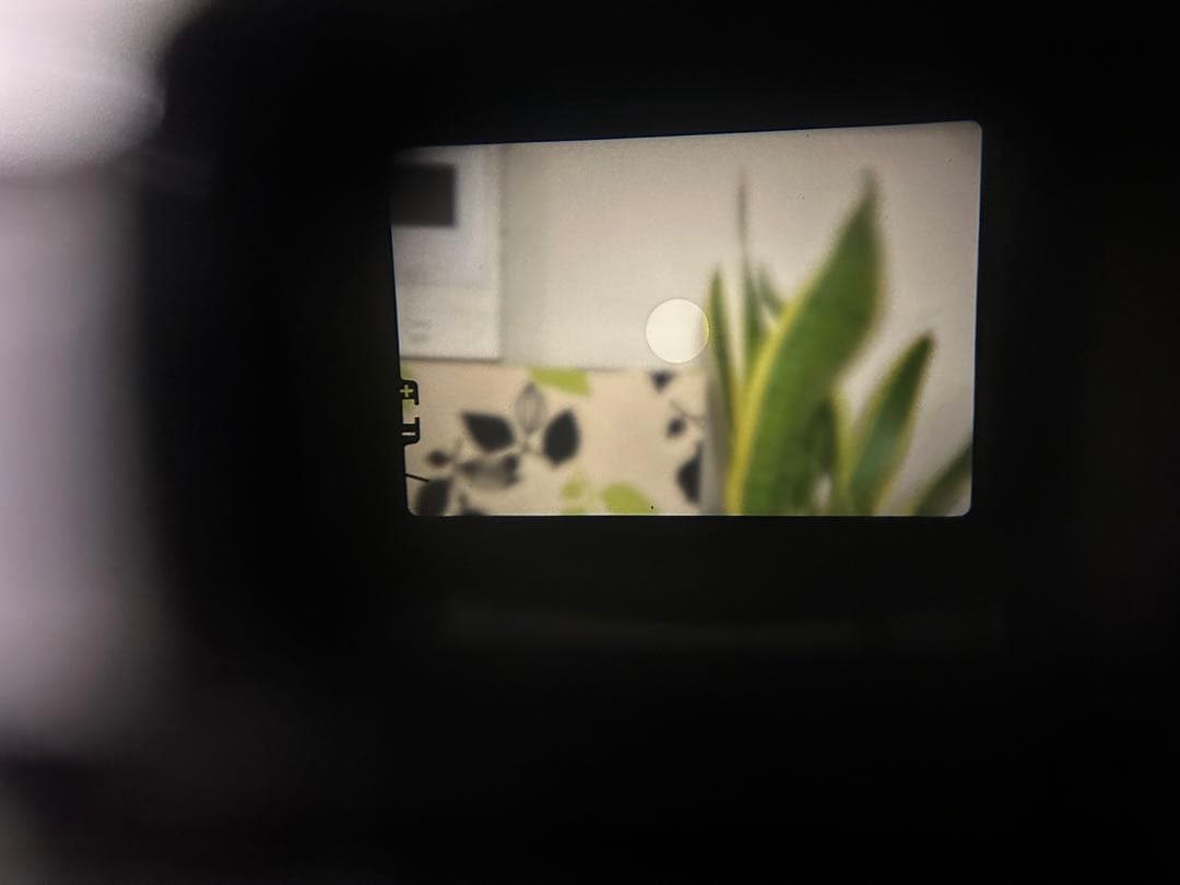 OLYMPUS オリンパス OM-1 フィルム　カメラ