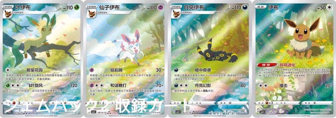 ポケモンカード　ジェムパック vol2　中国限定　新品未開封