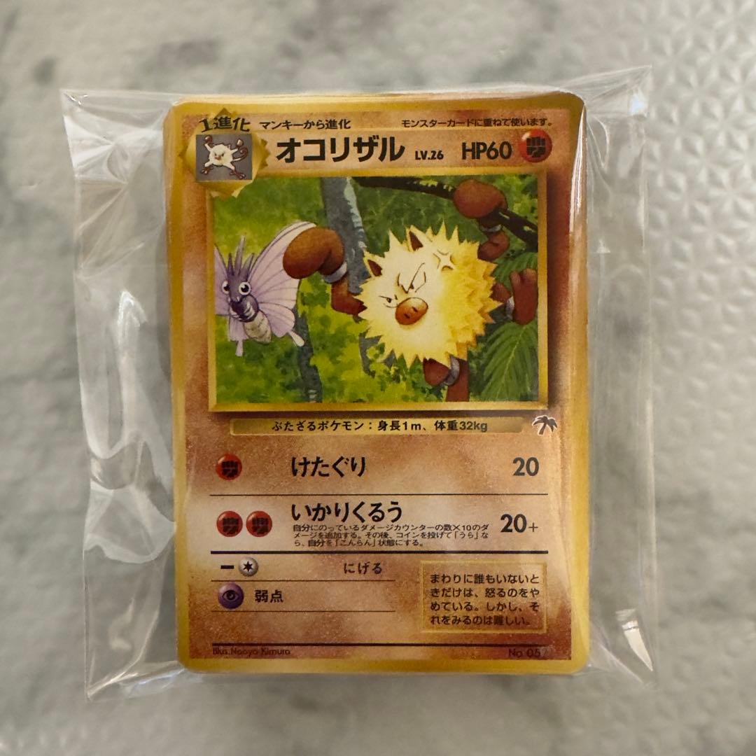 ポケモンカード　旧裏　サザンアイランド　ノーマル　全12種　31枚　まとめ売り