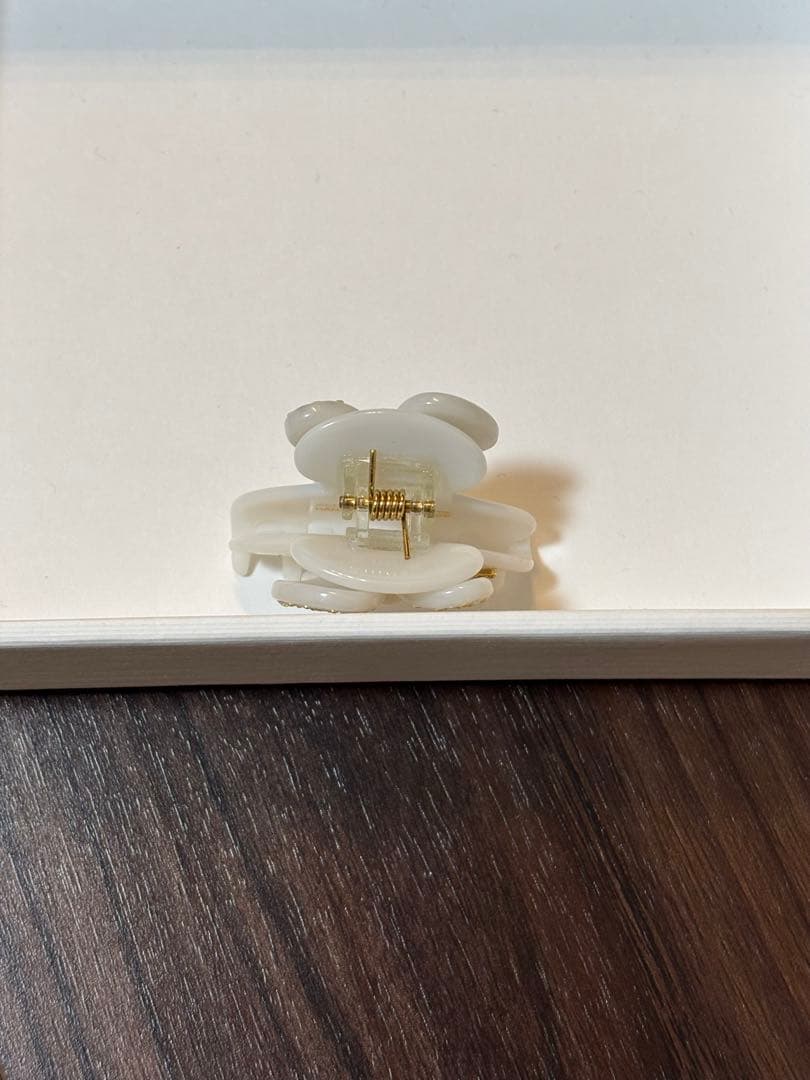 【megu(〃ω〃)】アレクサンドルドゥパリ　クリップ　4cm