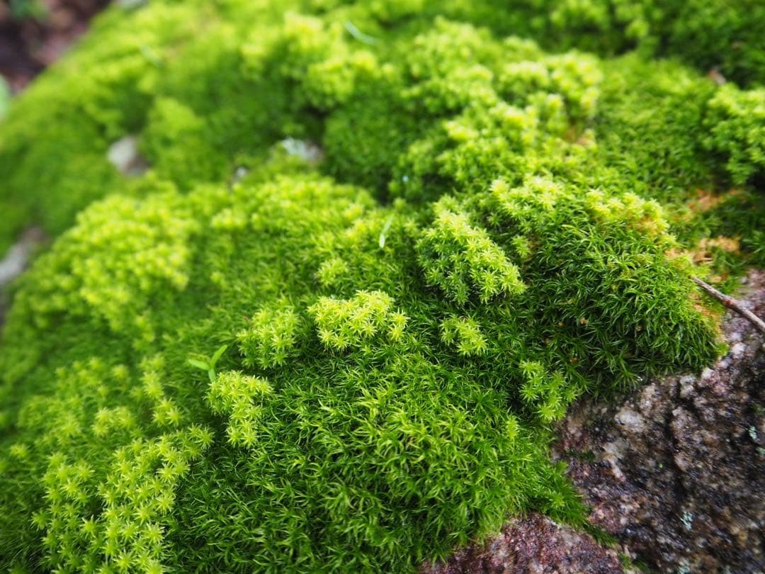 本日のみ値下げ！OLYMPUS OM-D E-M10 MarkⅢ 付属レンズ付き