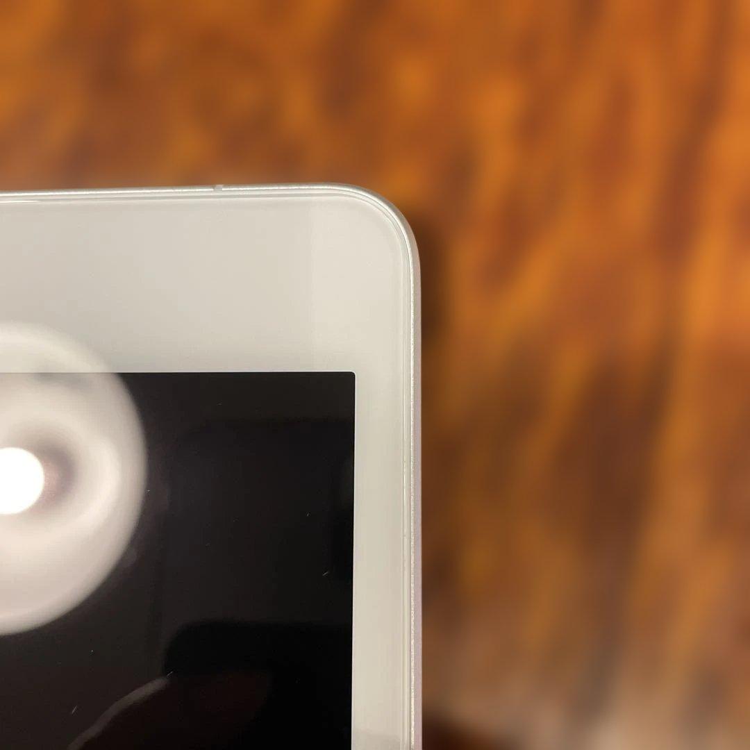 iPad mini 第5世代 256gb Wifi+Cellular