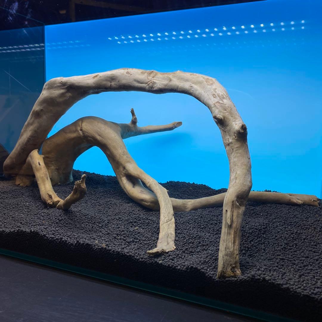 MDW-6763 ブランチウッドレイアウトセット　流木　枝流木　アクアリウム