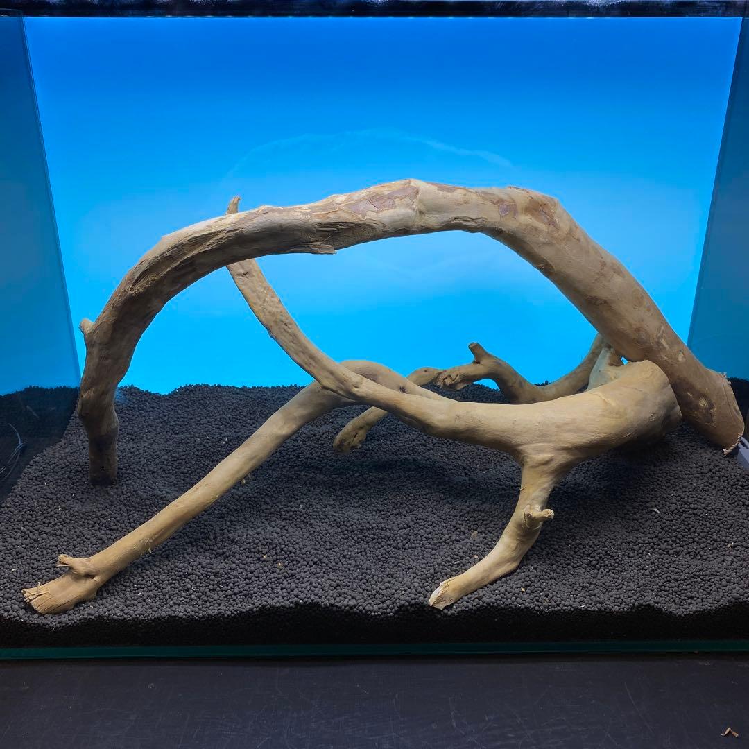 MDW-6763 ブランチウッドレイアウトセット　流木　枝流木　アクアリウム