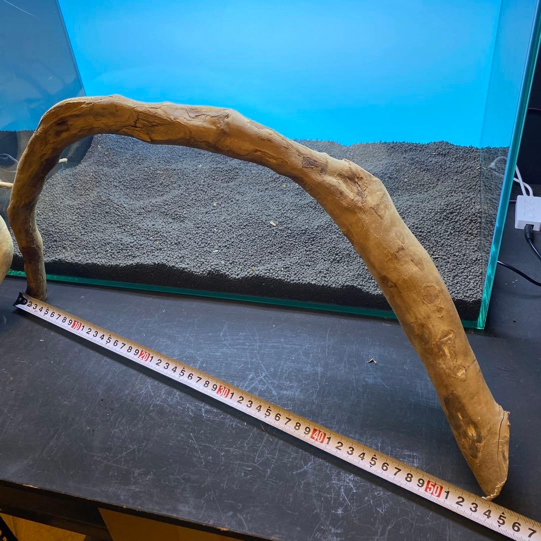 MDW-6763 ブランチウッドレイアウトセット　流木　枝流木　アクアリウム