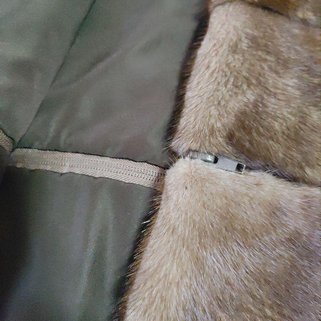 ミューズ 美しいダイドミンク ブラウン 染めブルーアイリス系 カフェオレ